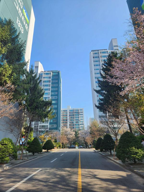 컨텐츠파일