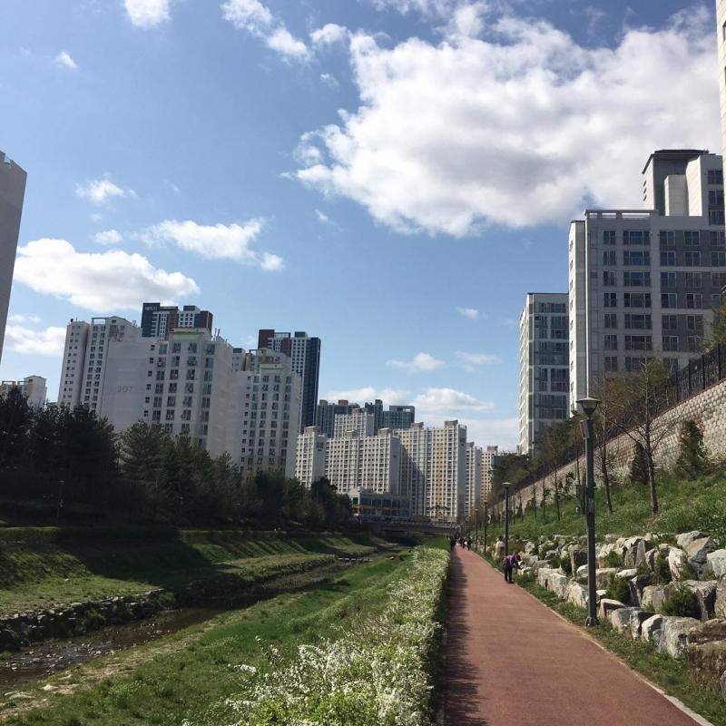 컨텐츠파일