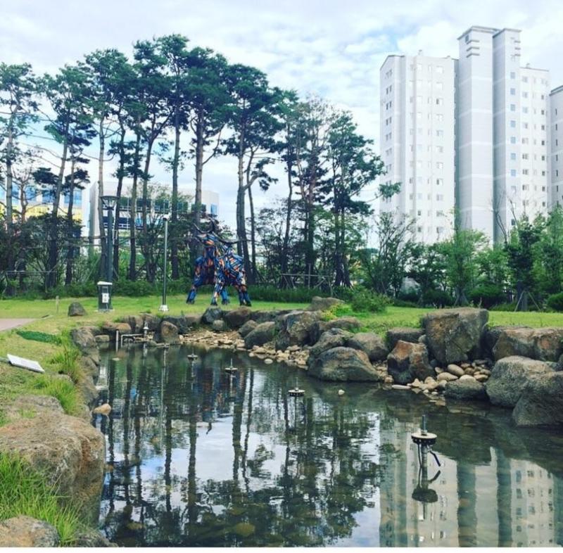컨텐츠파일