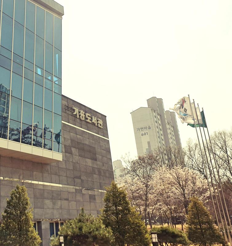 컨텐츠파일