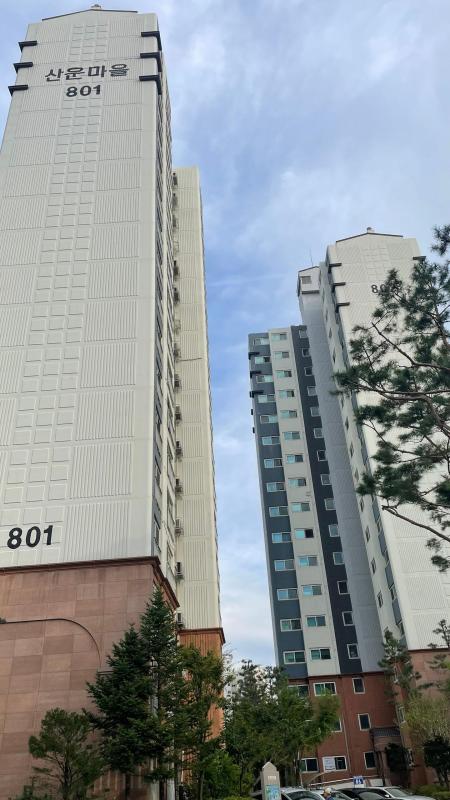 컨텐츠파일