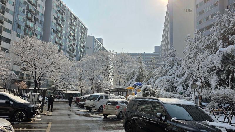 컨텐츠파일