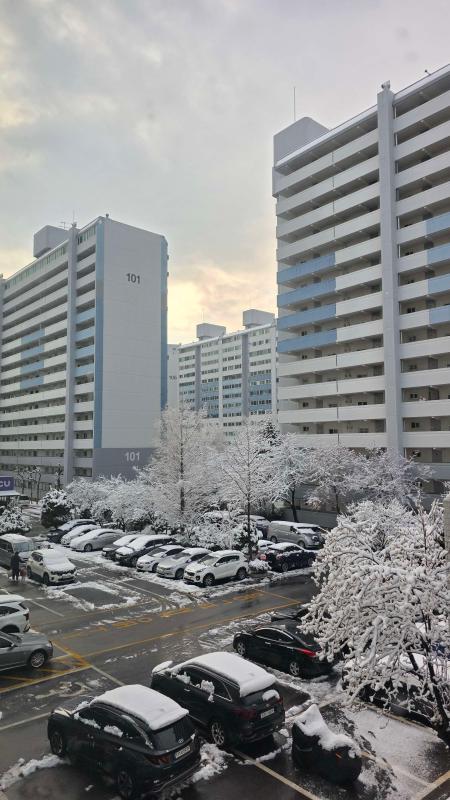 컨텐츠파일