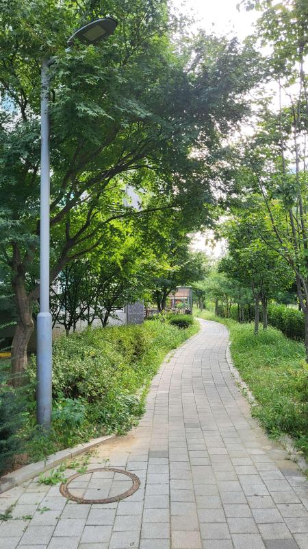 컨텐츠파일