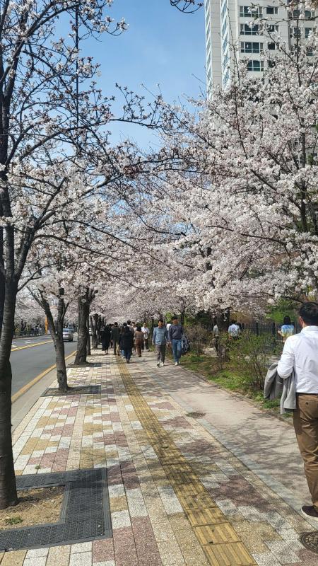 컨텐츠파일