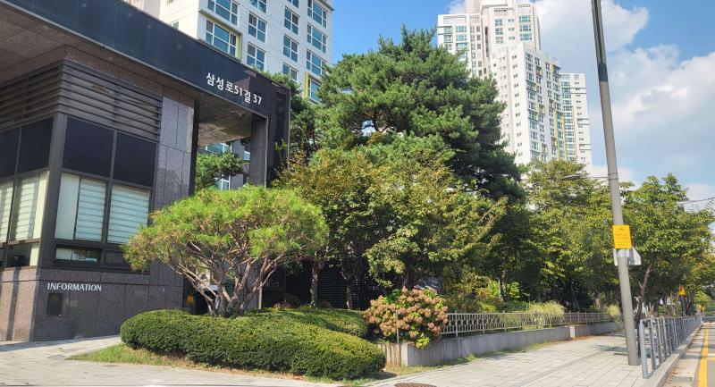 컨텐츠파일