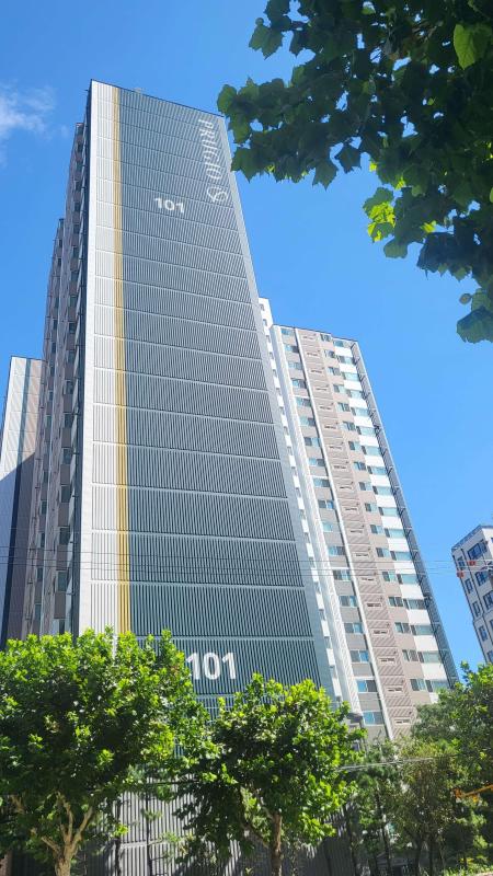 컨텐츠파일