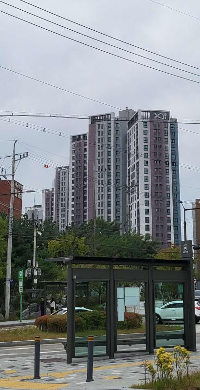 폴로라무