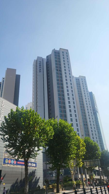 컨텐츠파일