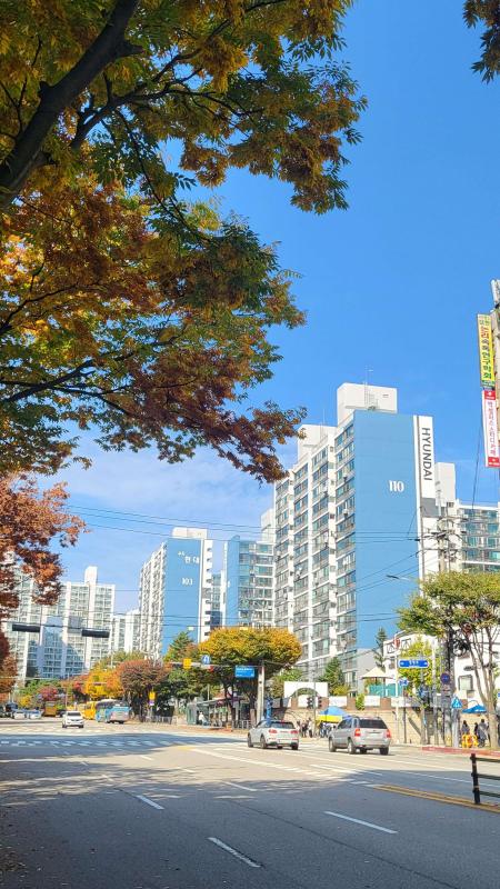 컨텐츠파일