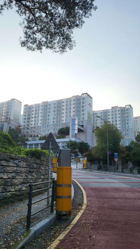컨텐츠파일
