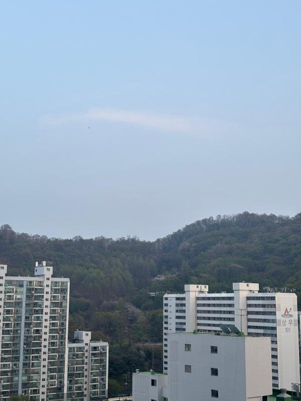컨텐츠파일
