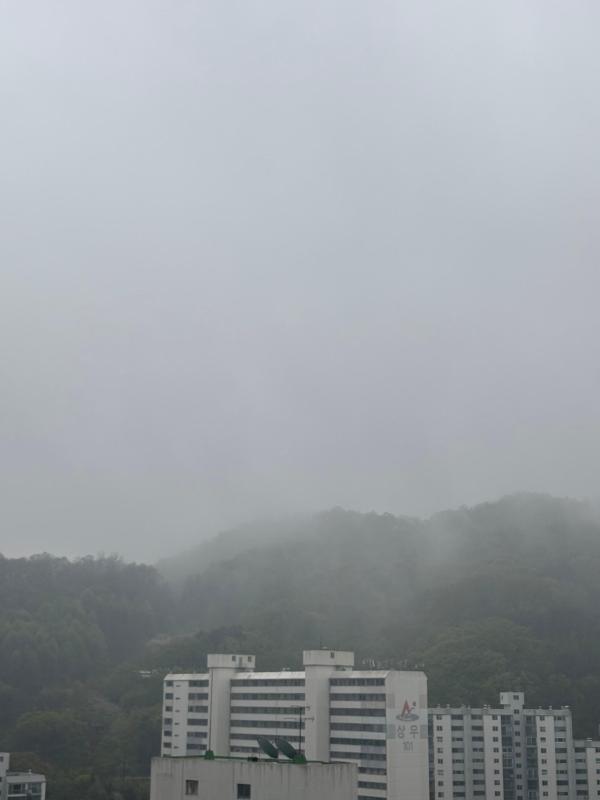 컨텐츠파일