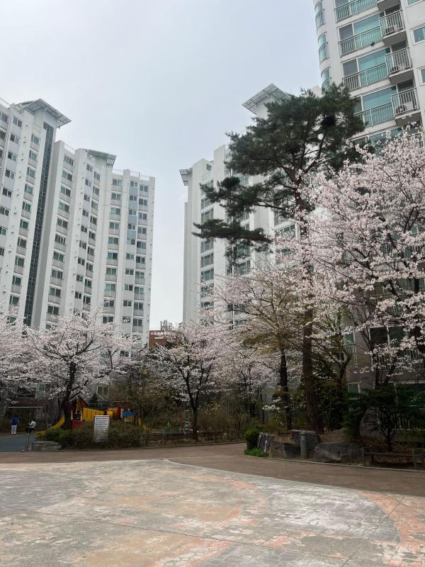 컨텐츠파일