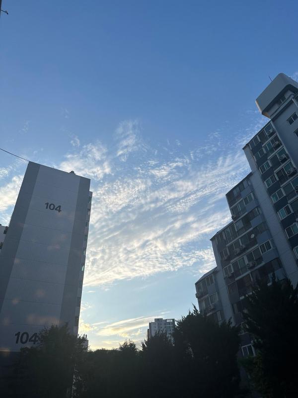 컨텐츠파일
