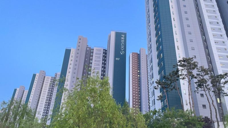 컨텐츠파일