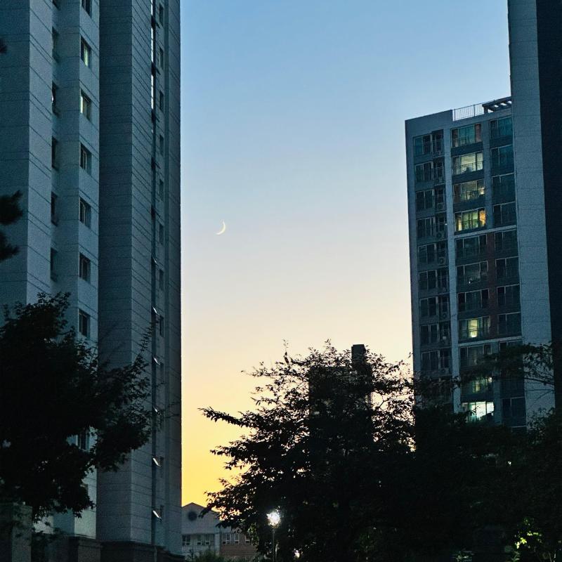 컨텐츠파일