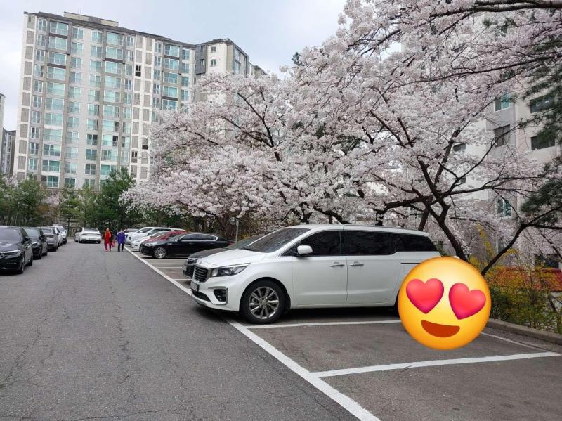 컨텐츠파일