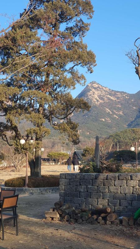 컨텐츠파일