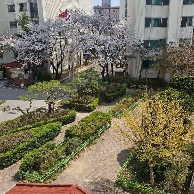 컨텐츠파일