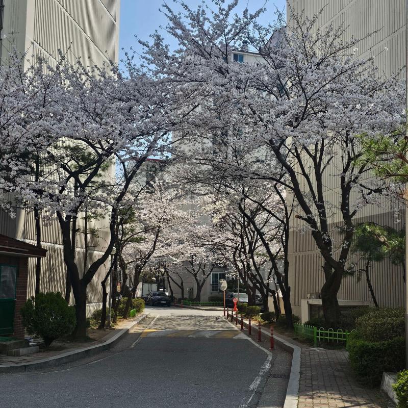 컨텐츠파일