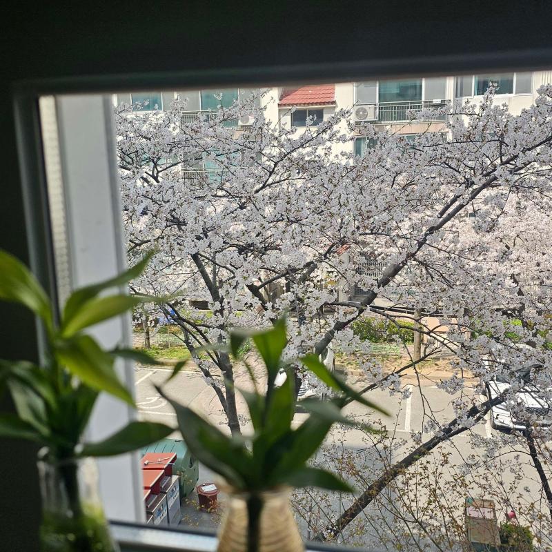 컨텐츠파일