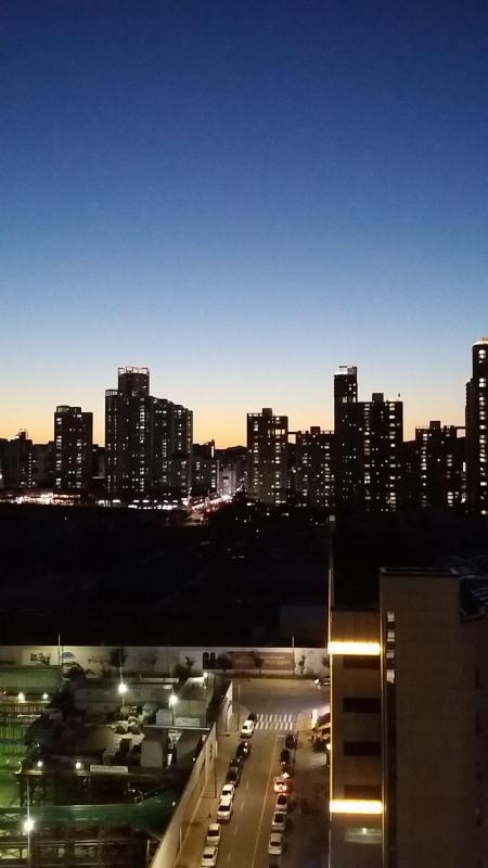 장화선