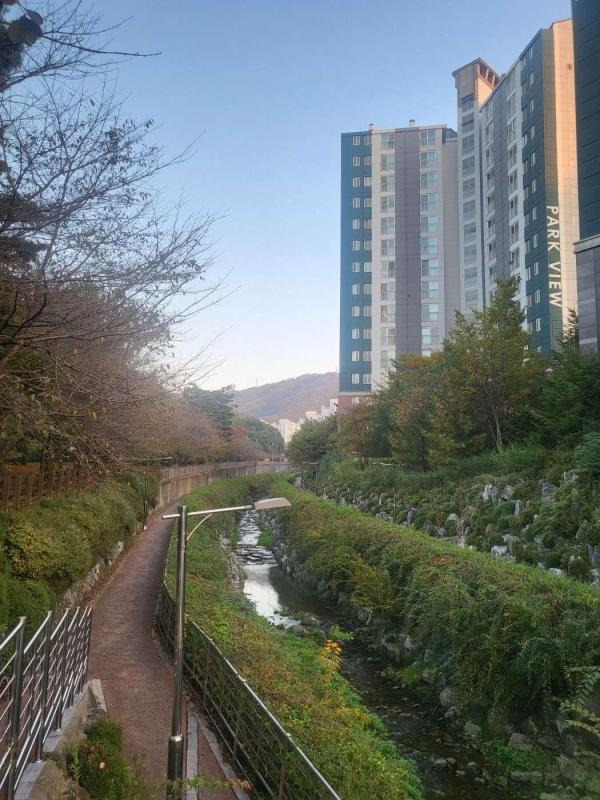 동분당파크뷰