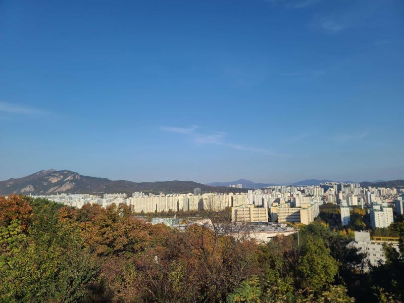 컨텐츠파일