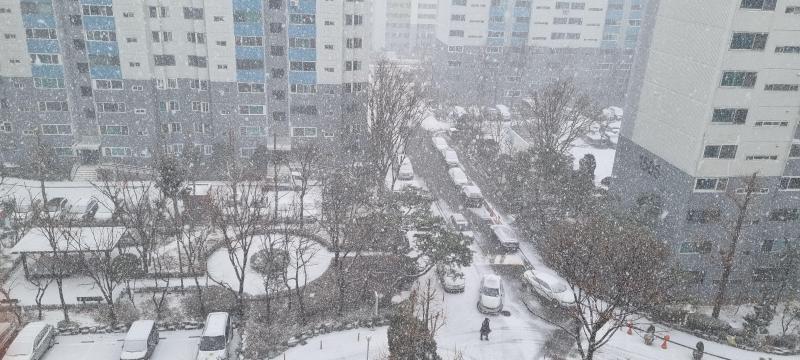 컨텐츠파일