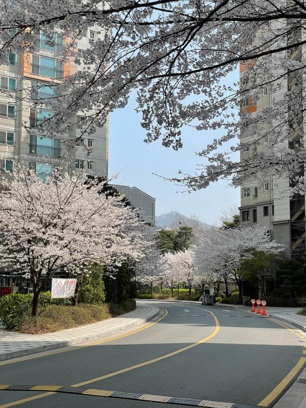 컨텐츠파일