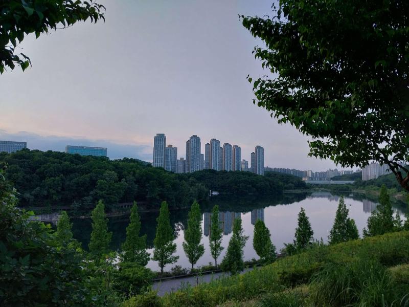 컨텐츠파일
