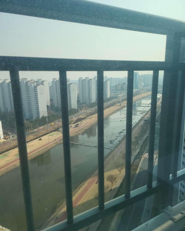 컨텐츠파일