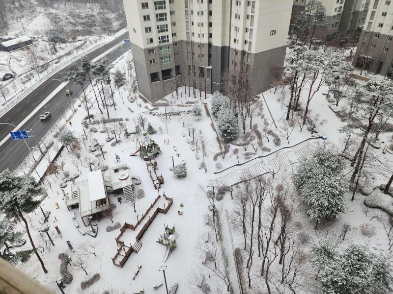 컨텐츠파일