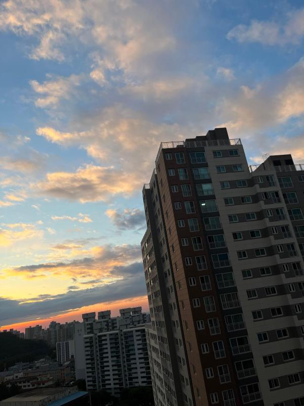 컨텐츠파일