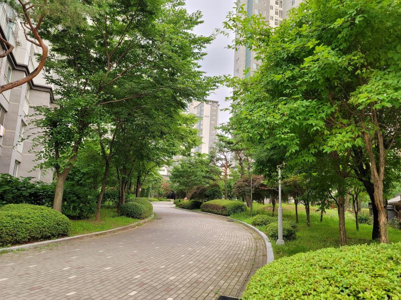 컨텐츠파일