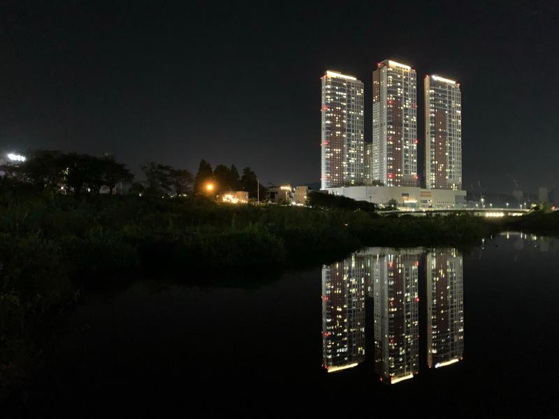 컨텐츠파일