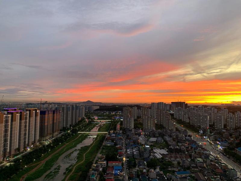 컨텐츠파일