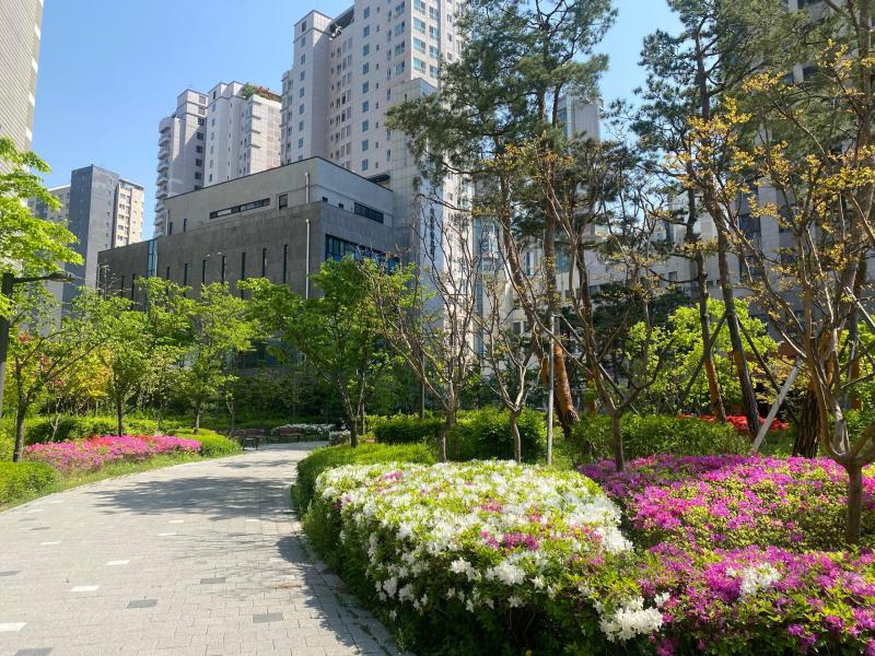 컨텐츠파일