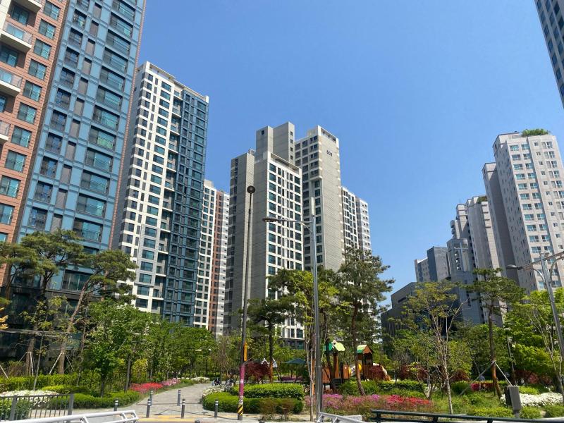 컨텐츠파일