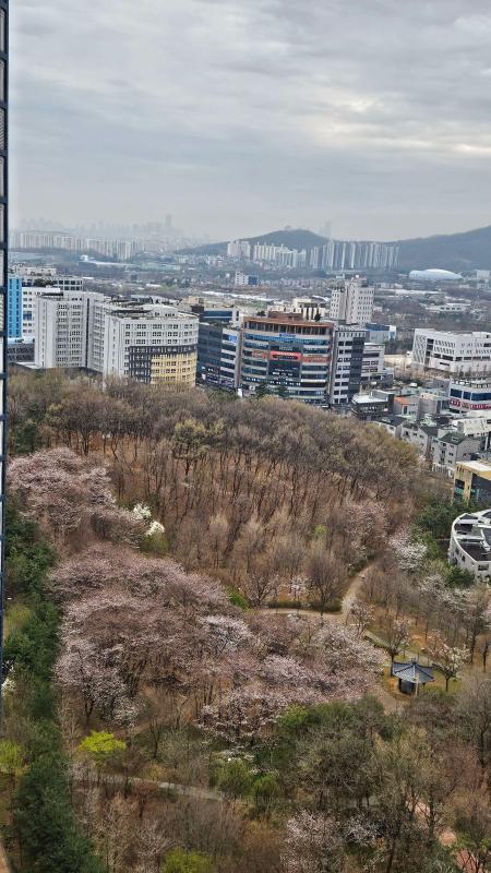 컨텐츠파일