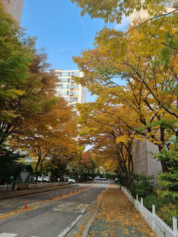 컨텐츠파일