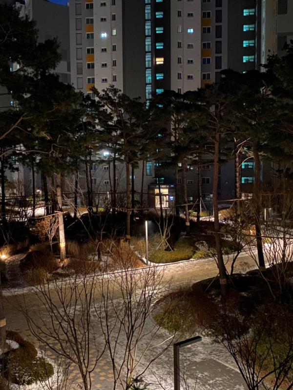 거미줄