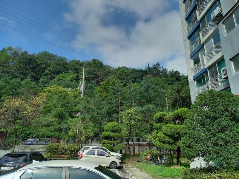 컨텐츠파일