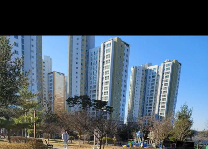 컨텐츠파일