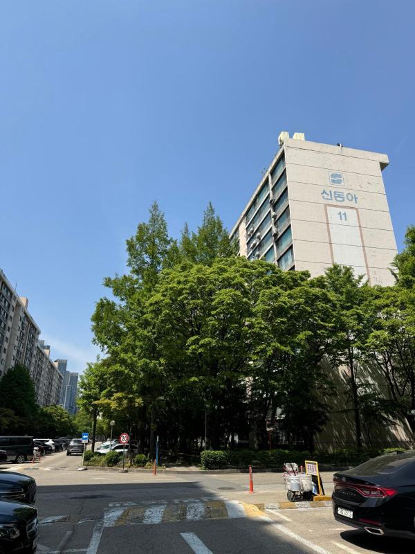 컨텐츠파일