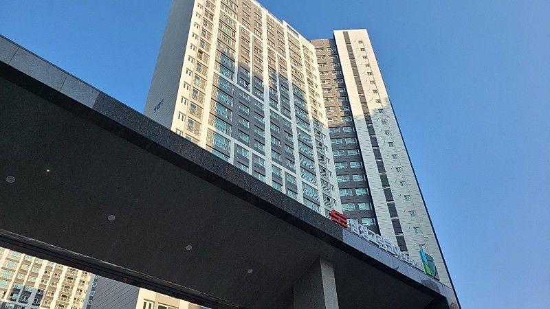 컨텐츠파일