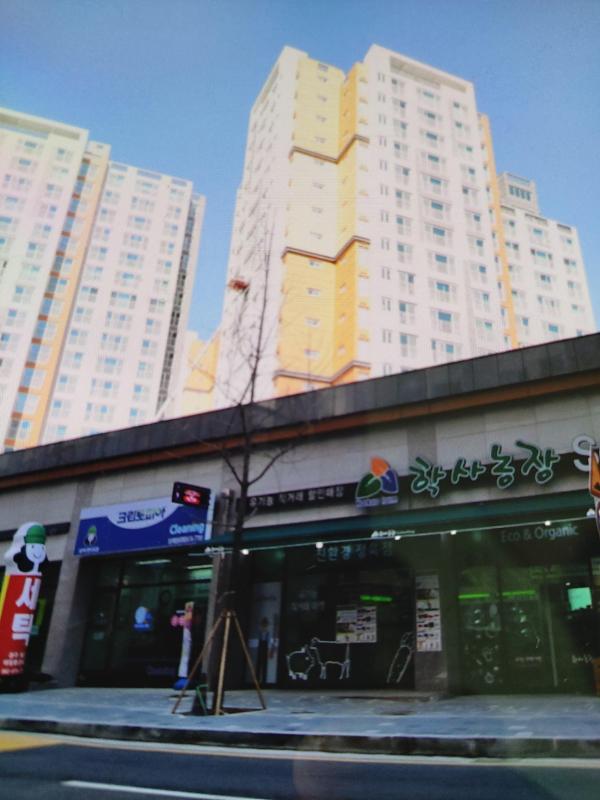컨텐츠파일