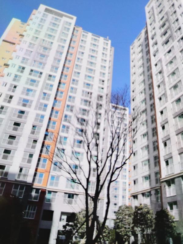 컨텐츠파일