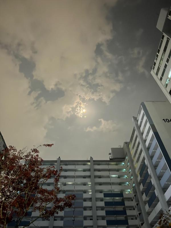 컨텐츠파일